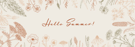 Meadow flowers background. Hand drawn field wildflowers border. Vector illustration in sketch style. Aesthetic botanical horizontal designのイラスト素材