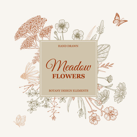 Meadow flowers frame. Hand drawn field wildflowers border. Vector illustration in sketch style. Aesthetic botanical design for logo and packagingのイラスト素材