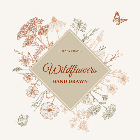 Meadow flowers frame. Hand drawn field wildflowers border. Vector illustration in sketch style. Aesthetic botanical design for logo and packagingのイラスト素材