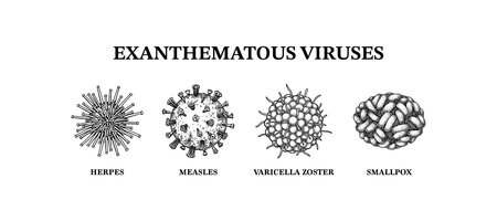 Exanthematous viruses. Hand drawn set of microorganisms. Scientific vector illustration in sketch style.のイラスト素材