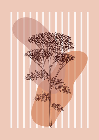 Modern floral aesthetic floral balance poster. hand drawn vector illustration. sketch wildflowerのイラスト素材