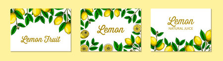 Horizontal lemon background. Hand drawn colorful vector illustration in sketch style. Design for packaging, invitation, greeting cardsのイラスト素材