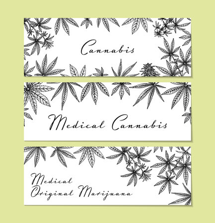 Set of cannabis horizontal designs for packaging, social media posts, store decoration, branding, certificates. Marijuana vector illustration in sketch style. Hemp engraved backgroundのイラスト素材