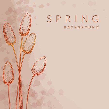 Spring summer floral social media square post templates set. Watercolor green, beige, pink, pastel abstract flower background and greeting cards design.のイラスト素材