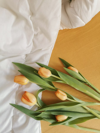 Bunch of fresh yellow tulips lies on a bed with a white blanket and yellow sheet. Top view. Cozy home at morning.の写真素材