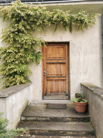 Entrance to an old house with stone steps and wooden door. A bush with green leaves winds over the...