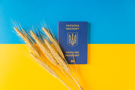 Ukraine biometric passport with ears of wheat on the national Ukrainian flag. Freedom blue and energizing yellow colors.の写真素材