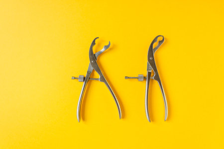Two Verbrugge bone holding forceps isolated on the yellow background. To hold parts of the bone...