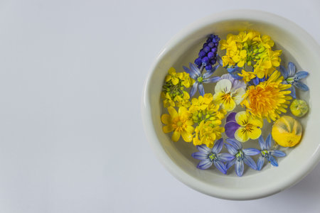 Top view of spring blue and yellow flowers buds isolated in round frame on the white background. On...