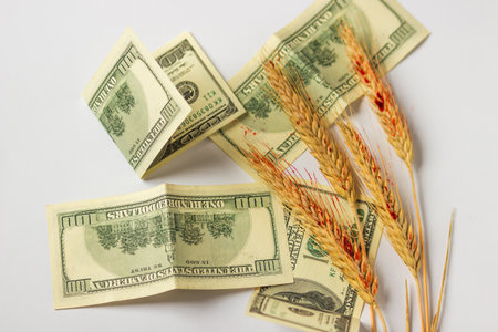 Money heap of dollars and dry ears of wheat in blood isolated on white background. Illegal trade in Ukrainian grain.の写真素材