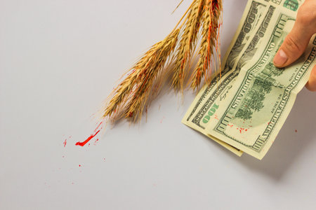 Mans hand holds american dollars and bloody ears of wheat on the white background. Illegal trade in Ukrainian grain.の写真素材