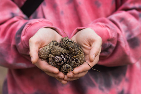 Young man in pink pullover holds in his hands a handful of dry pine cones in the autumn forest. Eco decor from forest.の写真素材