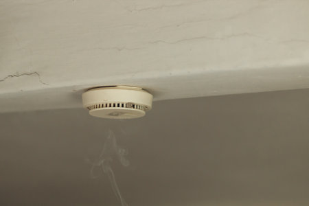 Smoke and fire detector on white ceiling of home with smoke in the foreground. White electronic device detecting house fire in action. Home or office safety concept.の写真素材