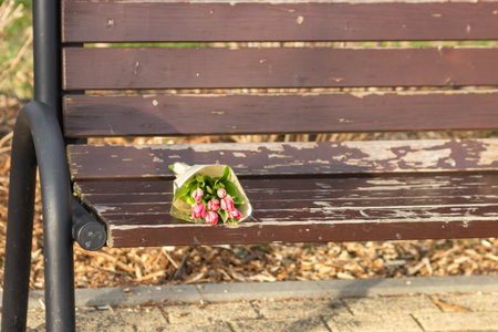 Bouquet of beautiful pink tulips lies on wooden bench in spring city park. First date concept. Close-up, selective focusの写真素材