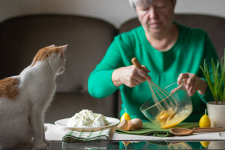 Red and white cat sits on kitchen table and watches how the grandma beats eggs with whisk in bowl. Cooking in processの写真素材