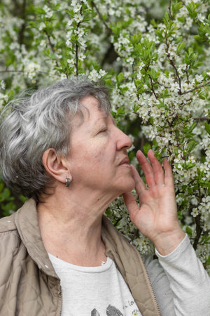 Side view of senior woman smelling flowers in blooming cherry tree garden, enjoying spring. Seasonal allergy concept.の写真素材