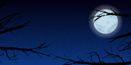 Sky moon trees night. Illustration. Use wallpaper for, the website, smart phone, tablet PC, printing etcのイラスト素材
