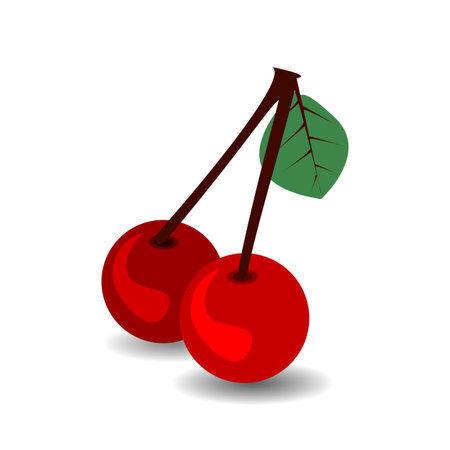 cherry on a white background. illustration. use a smart phone, website, printing, decorating etcのイラスト素材