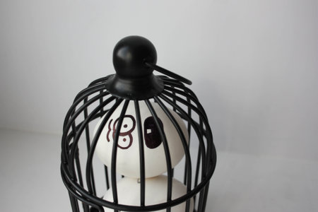 Loan mortgage concept. Strangling. Fears and phobias. Eggs with painted face. Photo for your design.の写真素材