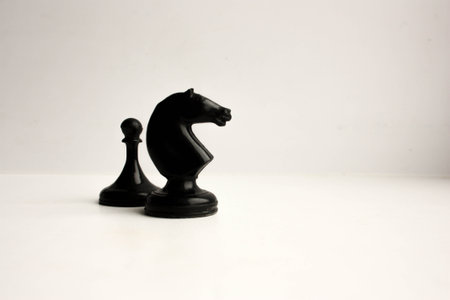chessmen. Concept of business game. Horse and pawn. Photo for your designの写真素材