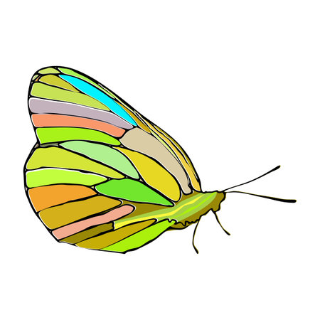 Butterfly on a white background. Stained glass. Illustration for your design.のイラスト素材