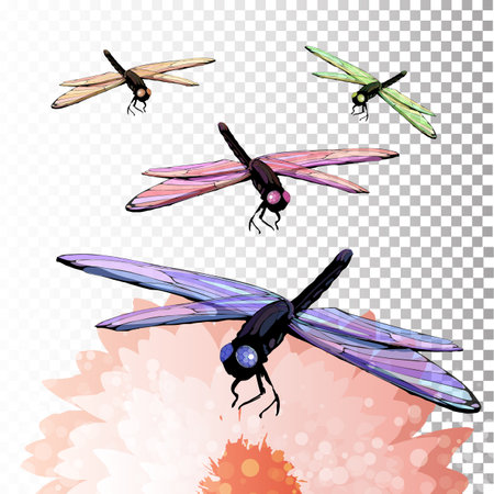 Dragonflies on a flower. Summer motifs. An illustration for your design.のイラスト素材