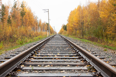 railway for the train. concept of farewell. photo for your design. rails forward