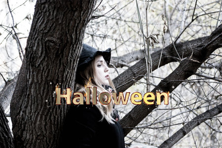 halloween concept. the spiritof a dark tree. witchcraftの写真素材