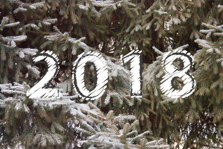 Christmas fir. green branches. fabulous white snow. daylight eighteenth year. figuresの写真素材