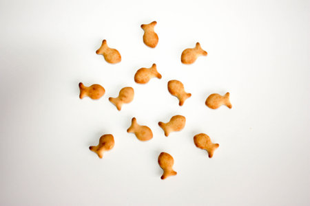 Biscuit shortbread fish with an on-white background. photo for your design.の写真素材
