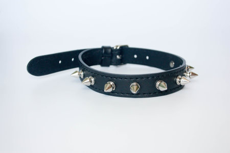 collar with spines. black with spines. PHOTO FOR YOUR DAY.の写真素材