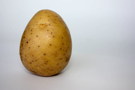 rustic potatoes on white background. photo for your illustration. one jokeの写真素材