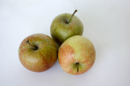 apples are green.の写真素材