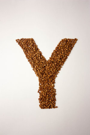 y letter. the alphabet of buckwheat porridge. buckwheat grain. concept of healthy eating. photo for your design. vertical sheet orientationの写真素材