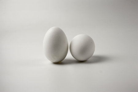 egg white chicken on white background. photo for your designの写真素材