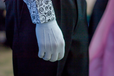 aristocrat. the gloveの写真素材