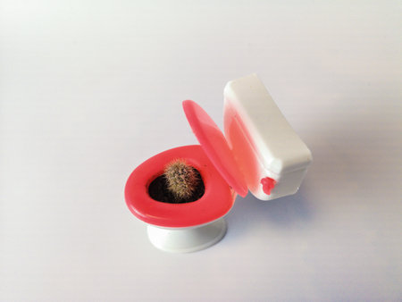 hemorrhoids concept. cactus green and a small toilet bowl. pain and painの写真素材