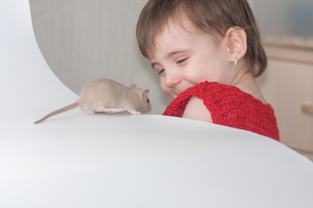 baby and rat. games with pets. girl playing with a white ratの写真素材