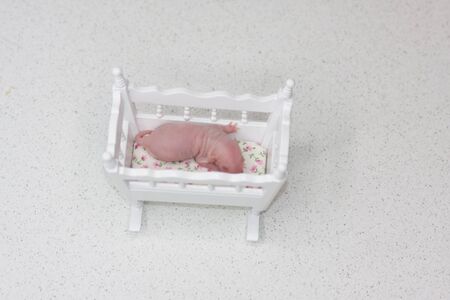 The concept of a new life. A newborn rat cub sleeps in a crib. The mouse child is lying.の写真素材