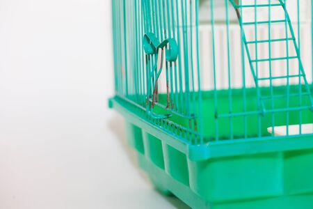 self isolation concept. Rats in a cage