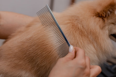 Close-up of metallic grooming comb being used by hand to detangle and straighten long-haired dogâs fur with gentle motion.の写真素材