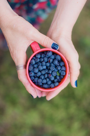 Hands holding red cup filled with fresh blueberries, focus on deep blue fruit and natural skin tones, perfect for healthy food advertising.の写真素材