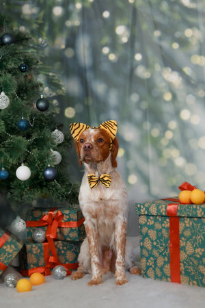 Elegant dog dressed in yellow tiger-striped headband and bow tie sitting proudly near Christmas tree...