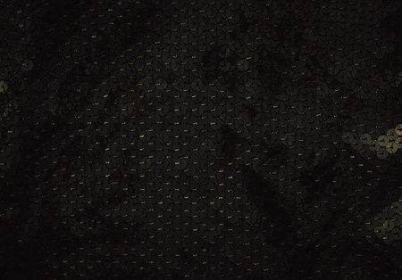 Glitter background. Fabric texture with spangles. Background sequin. Glitter texture. Fabric...