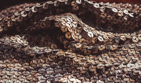 Glitter background. Fabric texture with spangles. Background sequin. Glitter texture. Fabric sequins. Iron cloth. Abstract background. Metal structure.の写真素材