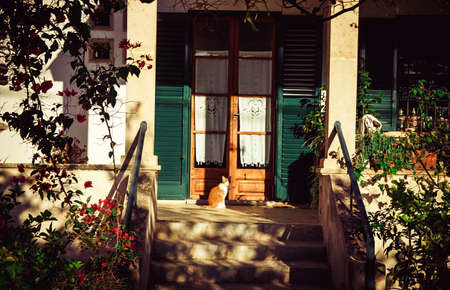 A cozy porch of a house with green wooden shutters and a sun-warmed red cat. Sunny facade of a building, hacienda on the beach, Mallorca, Spain. Surrounded by fresh greenery and flowers.の写真素材