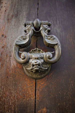 steel door handle in the form of a lionの写真素材