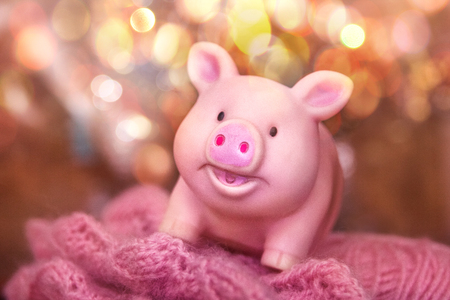 funny smiling rubber pig toy stands in a woolen openwork scarf against a background of yellow bokehの写真素材
