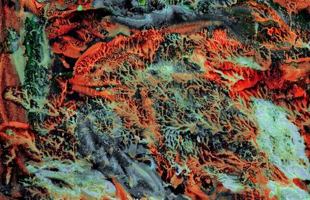 abstract textural background with black, red, green and gray paint branch lines and splashes with...