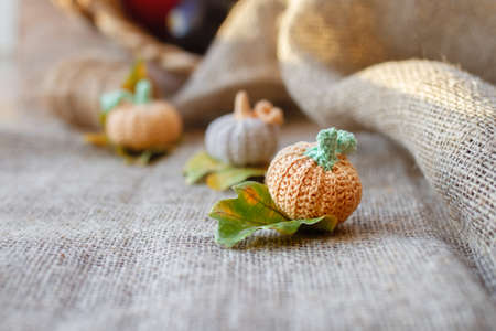 rural three crocheted handmade pumpkins on autumn oak leaves and bagging on background of red vegetables, selective focusの写真素材
